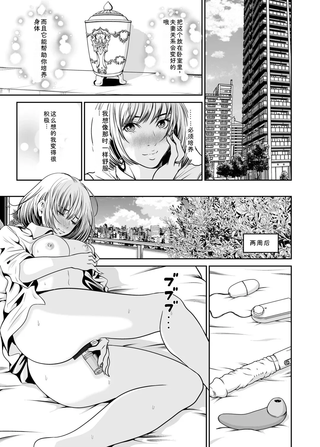 復讐につき、お前の嫁を抱く…