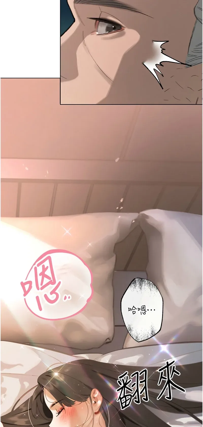 暴君会长的娇媳们