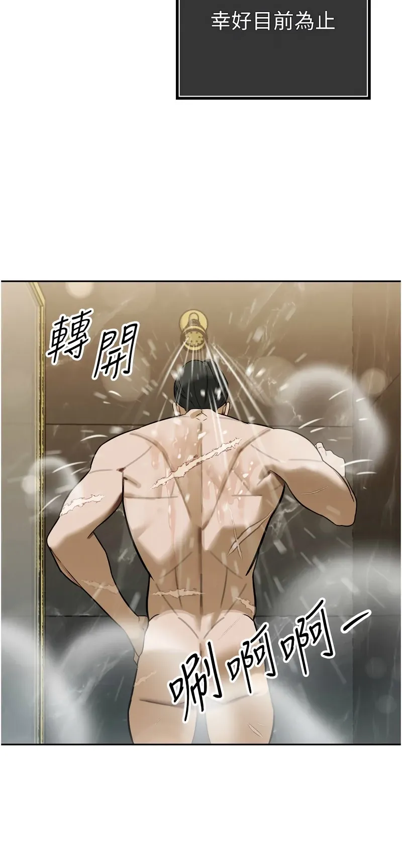 暴君会长的娇媳们