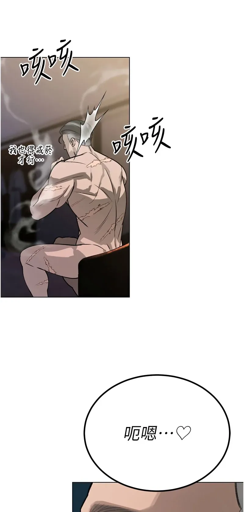 暴君会长的娇媳们