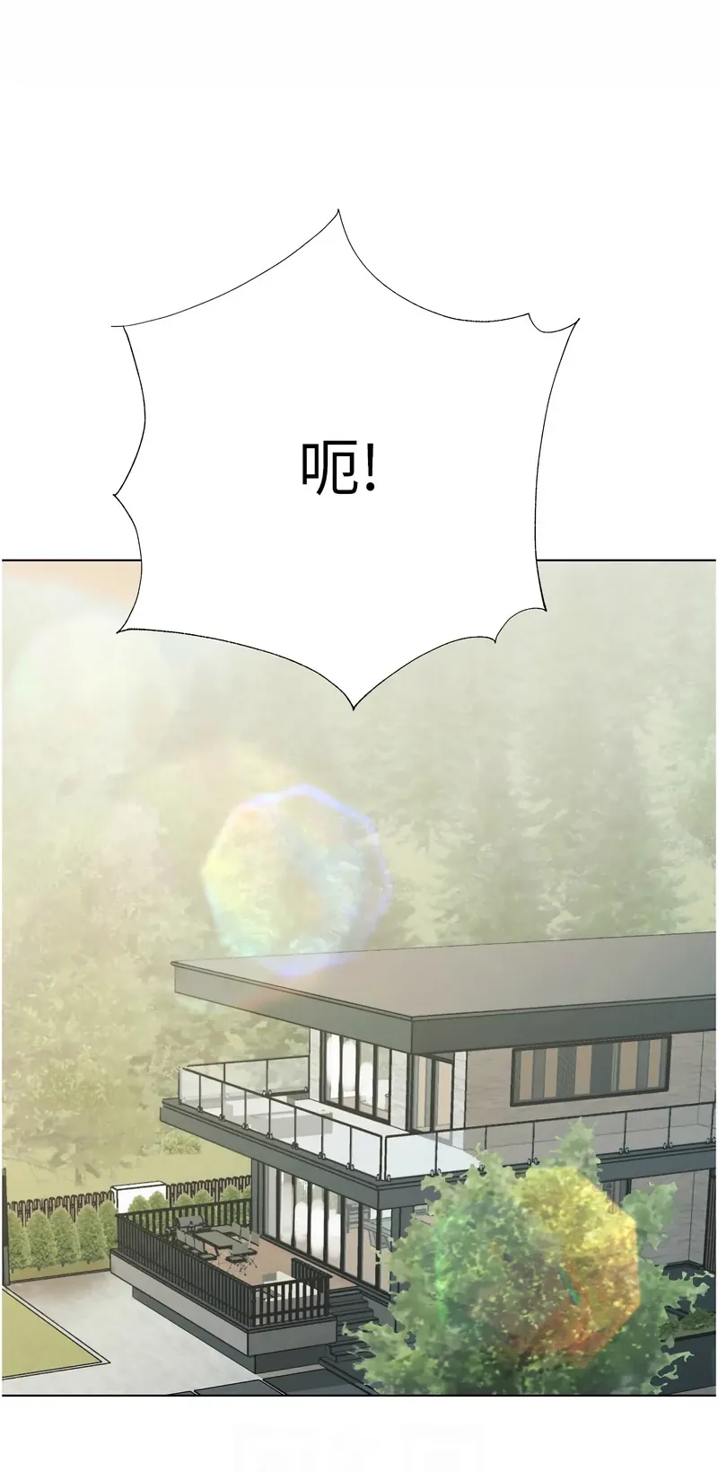 暴君会长的娇媳们
