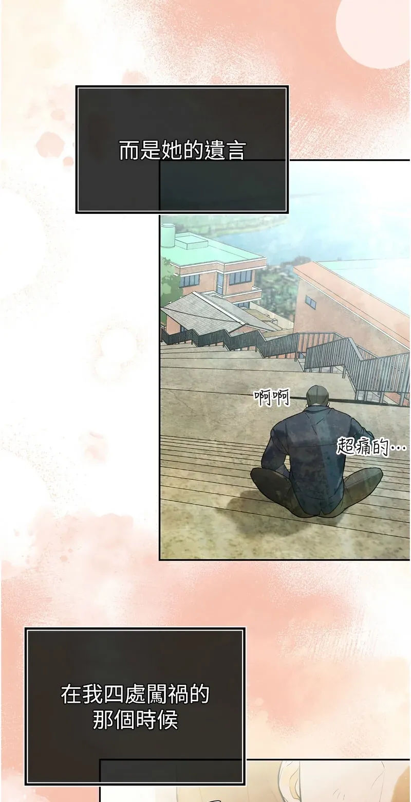 暴君会长的娇媳们