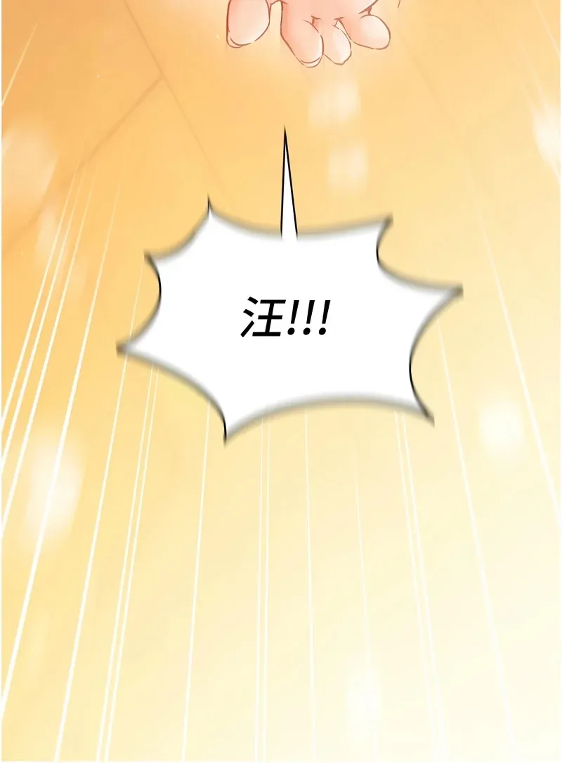 催眠偷心计