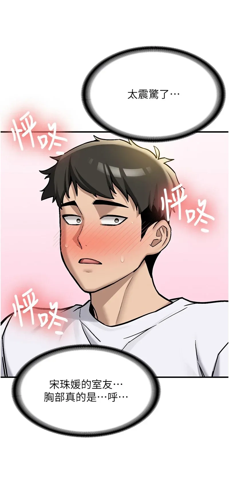 新生老司机