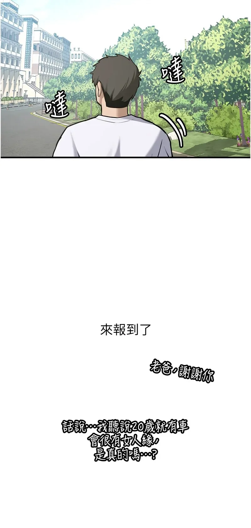 新生老司机