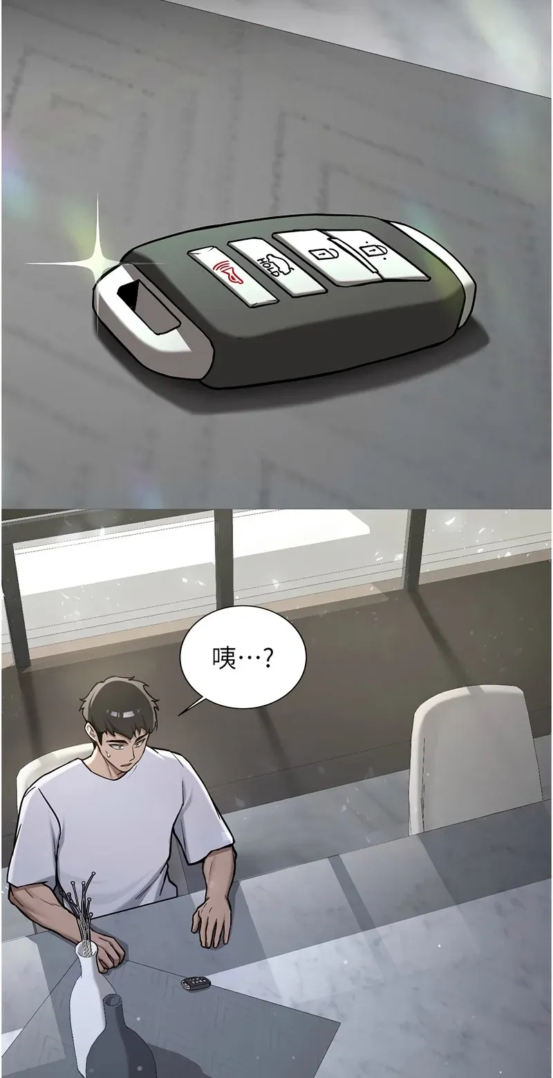 新生老司机