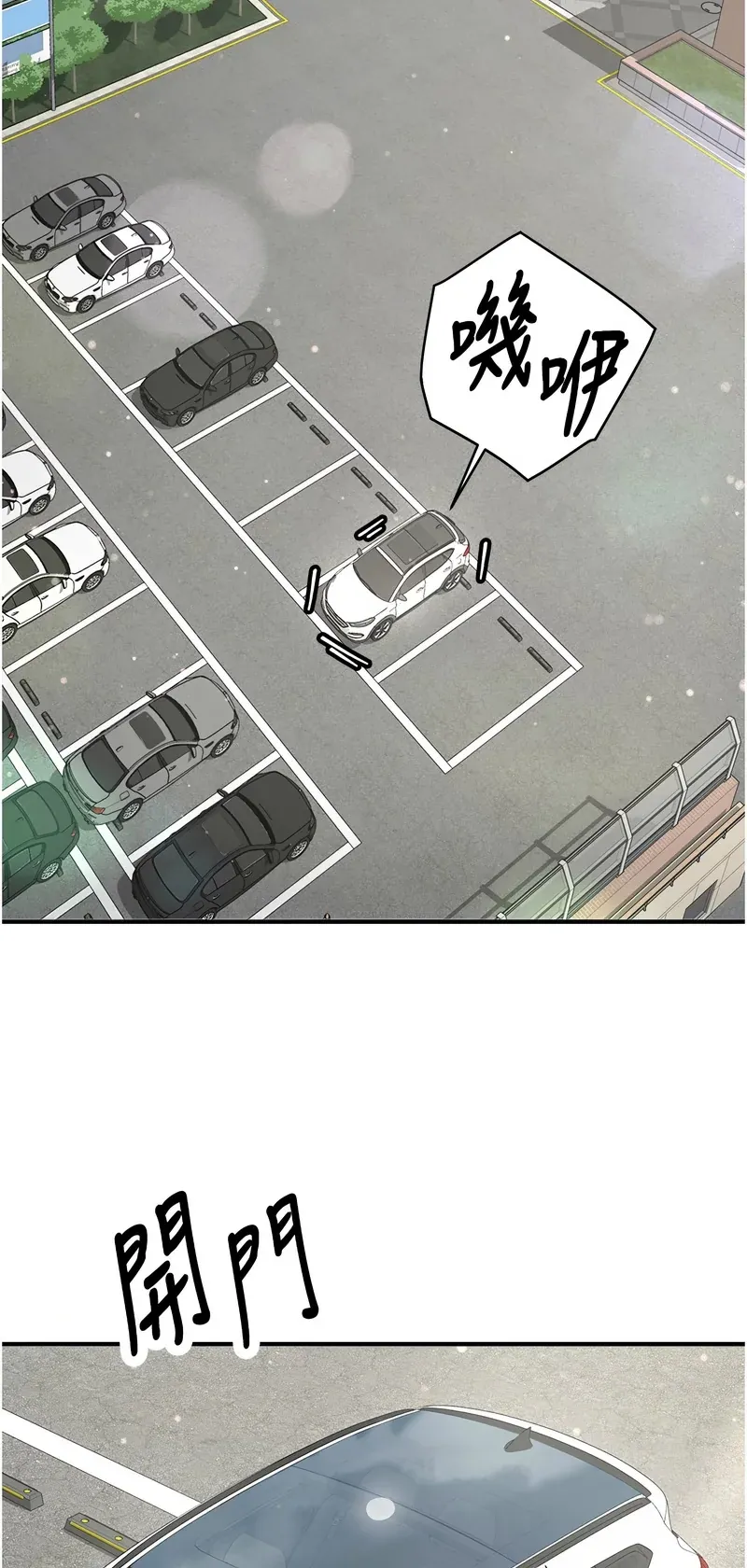 新生老司机