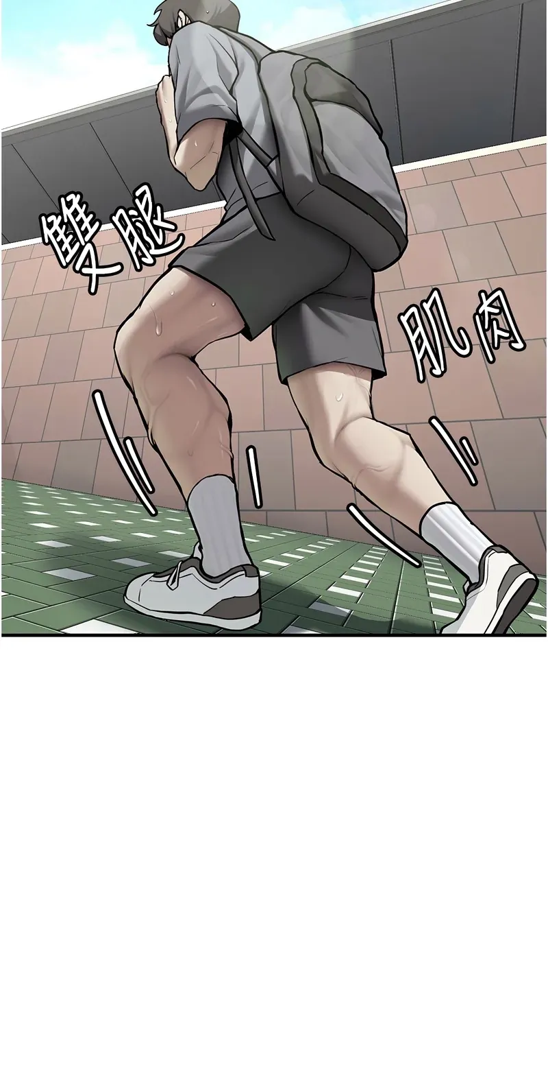 新生老司机