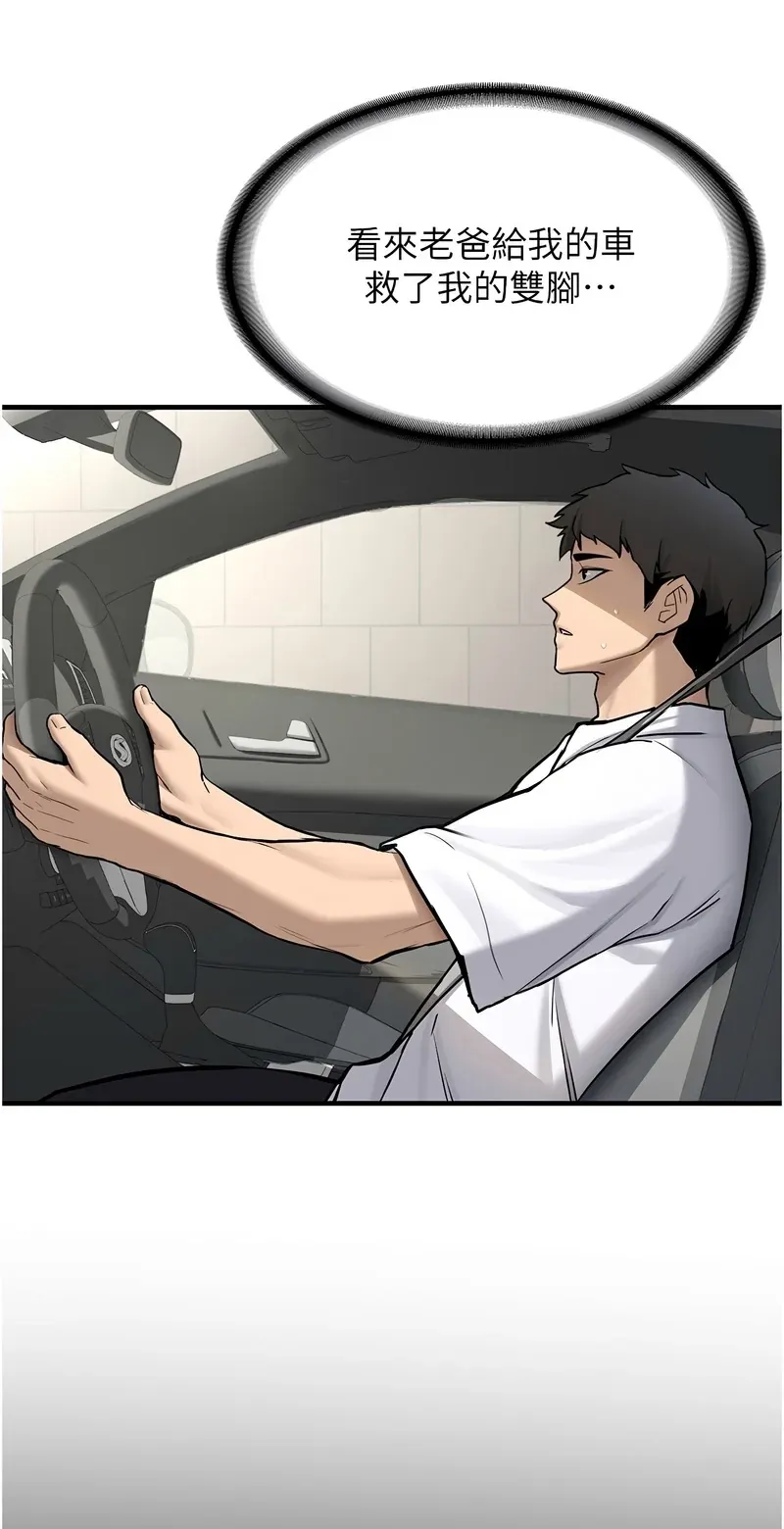 新生老司机