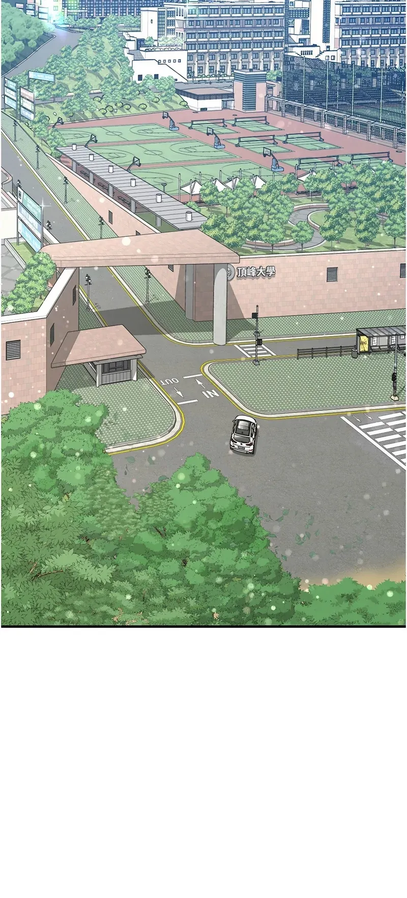 新生老司机