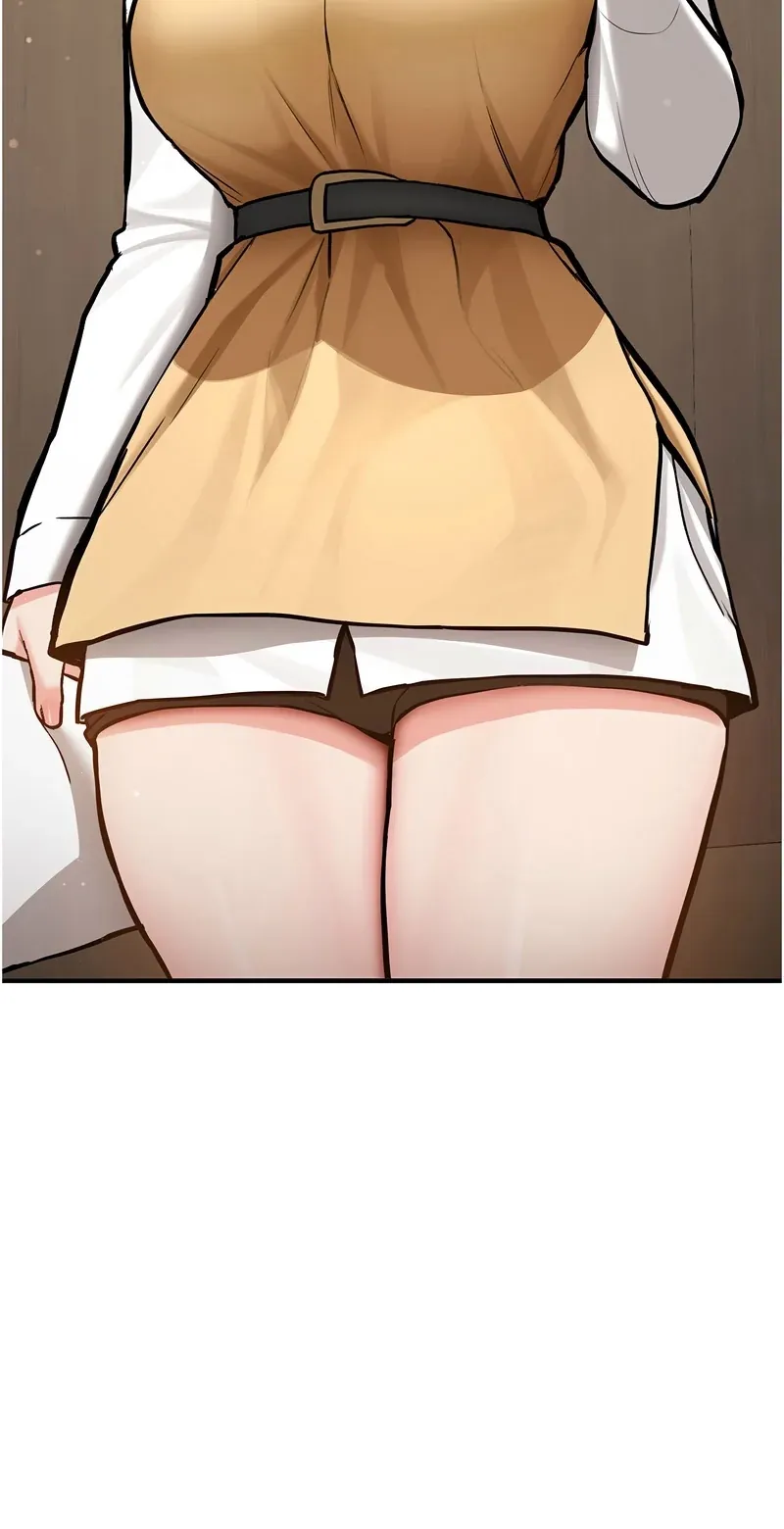 新生老司机
