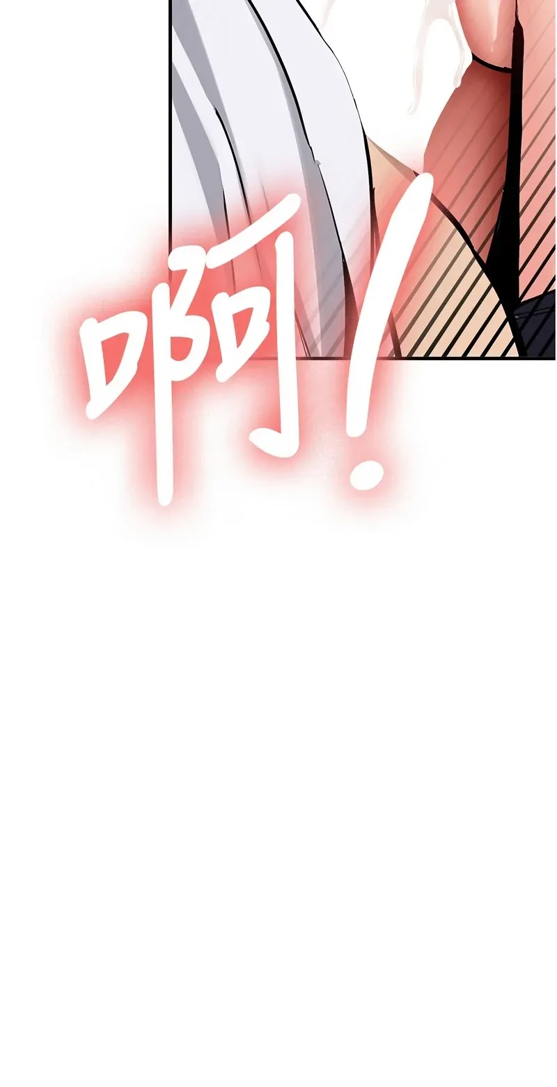 新生老司机