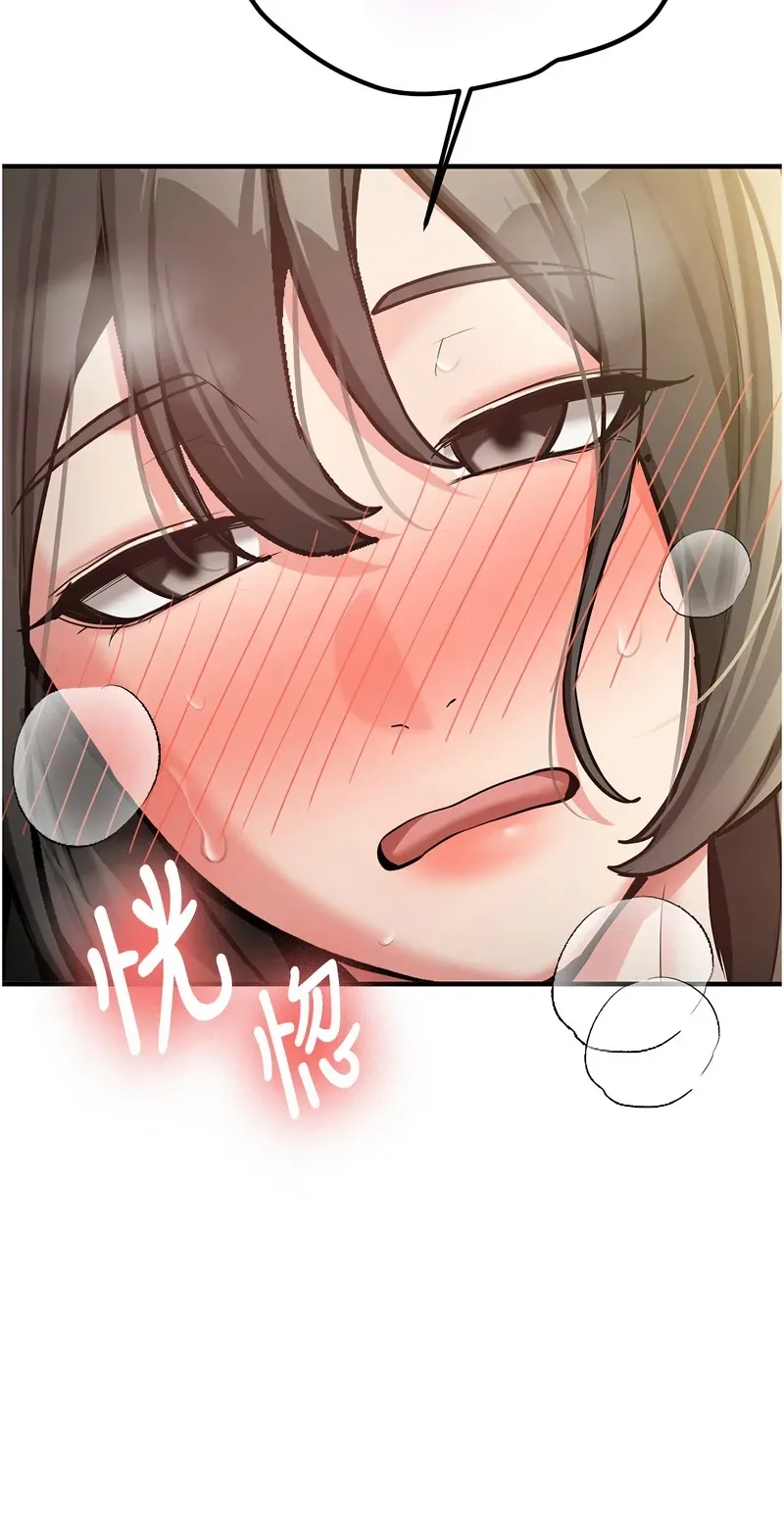 新生老司机