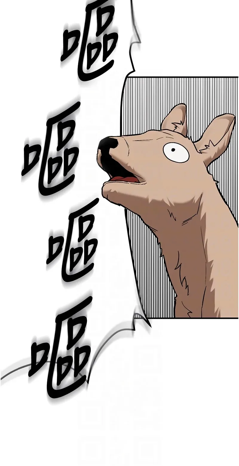 新生老司机