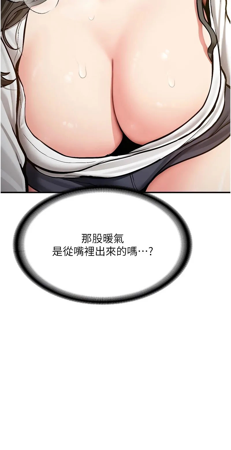 新生老司机