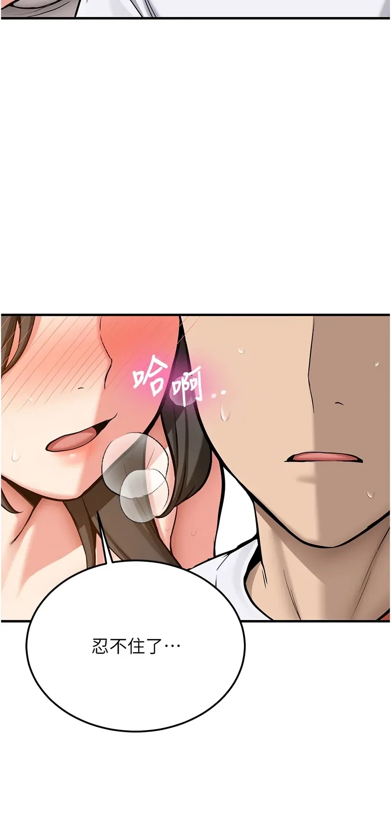 新生老司机