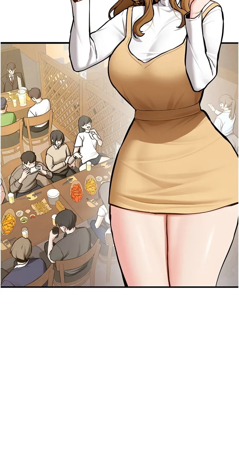 新生老司机