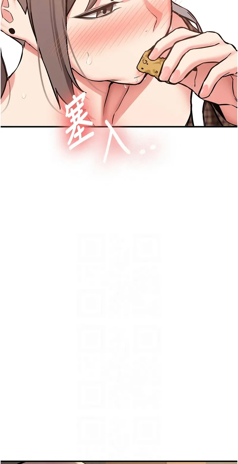 新生老司机