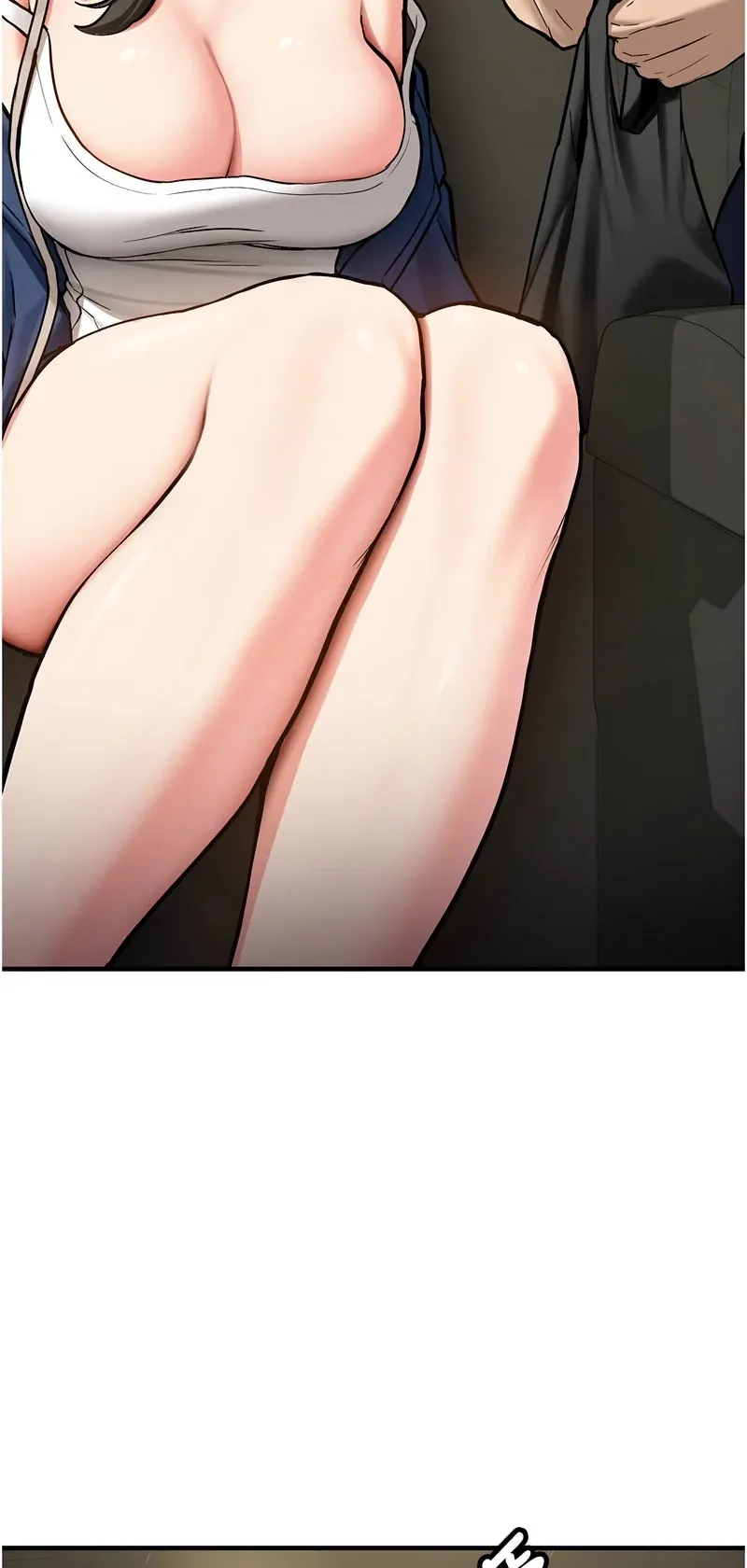 新生老司机