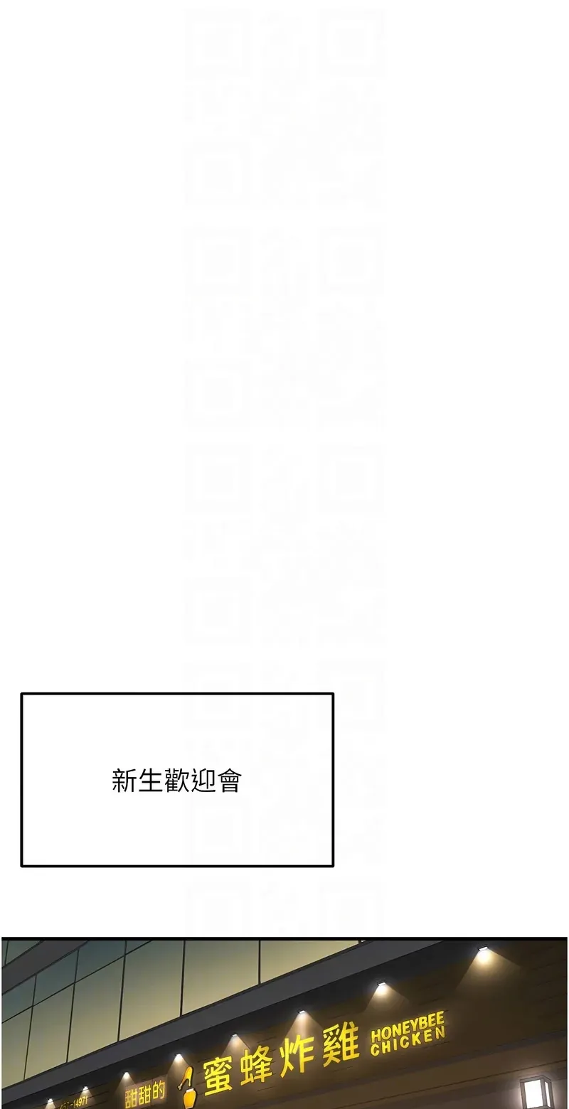 新生老司机