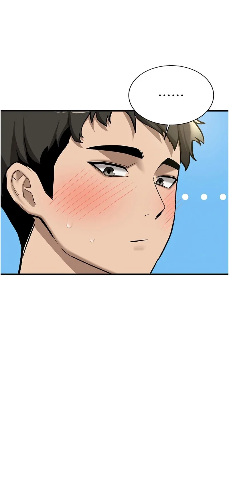 新生老司机