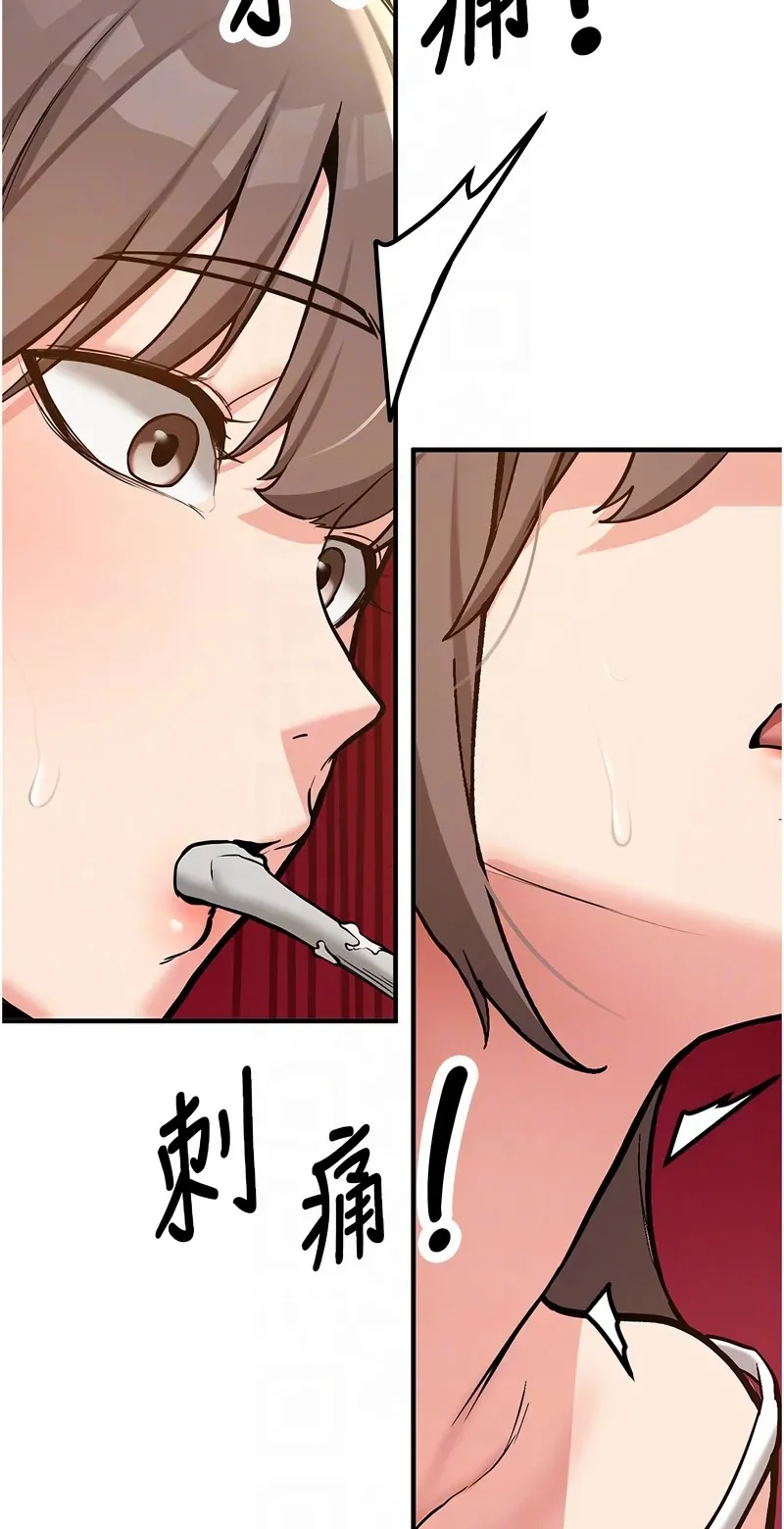 新生老司机