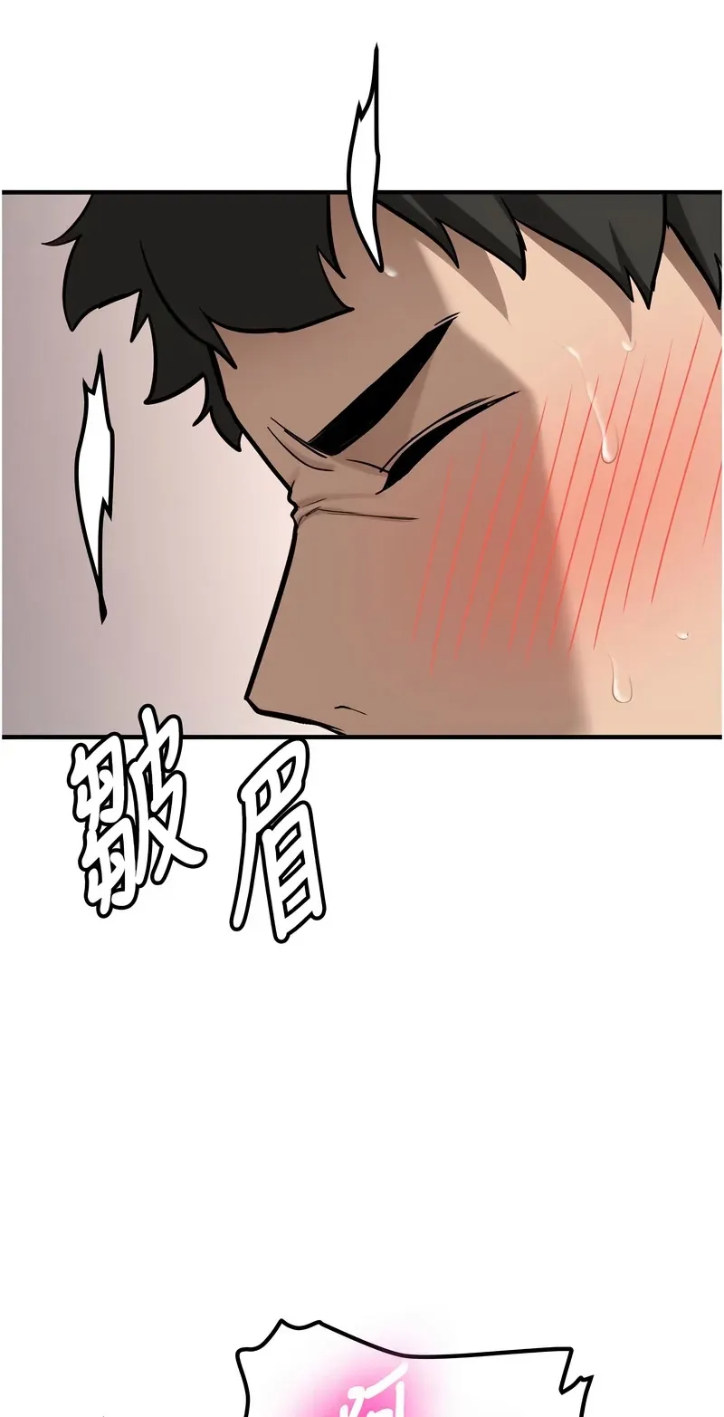 新生老司机