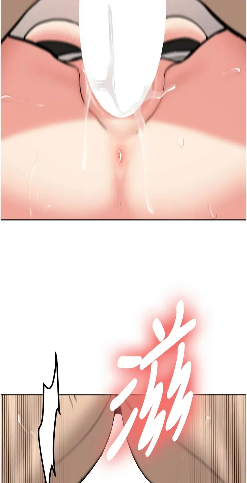 新生老司机