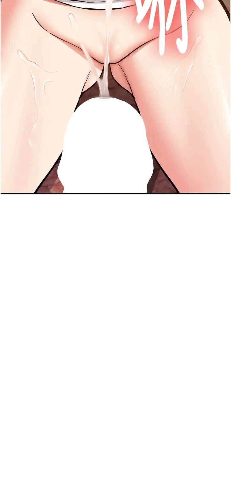 新生老司机