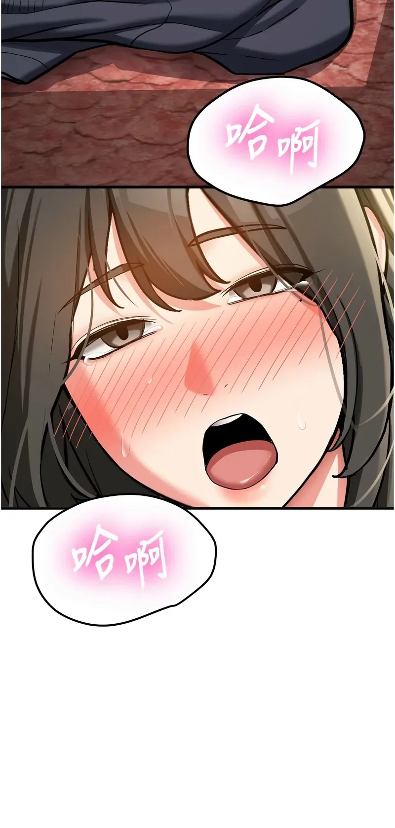新生老司机