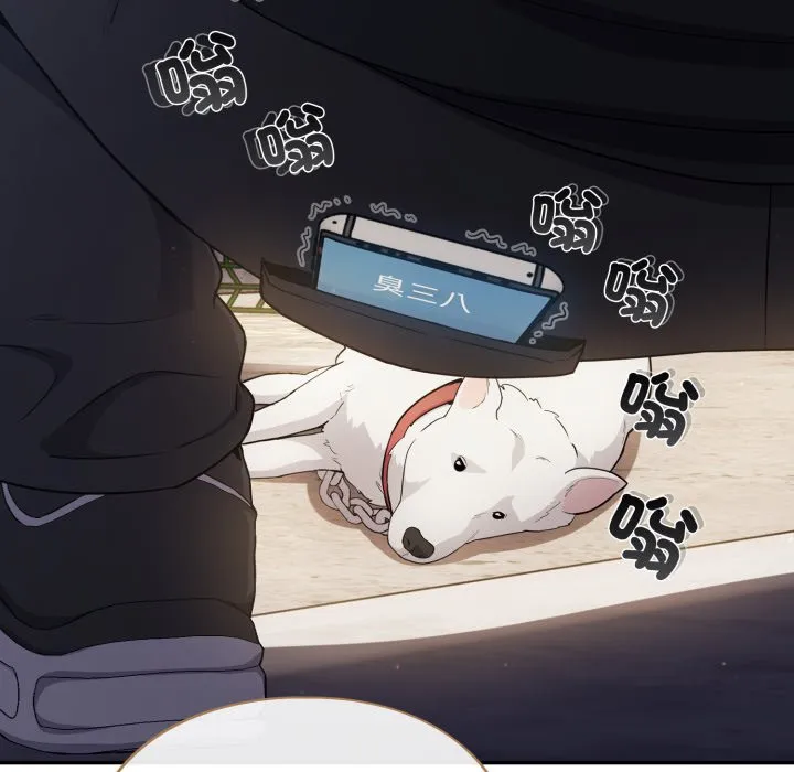傻傻病毒（无码版）