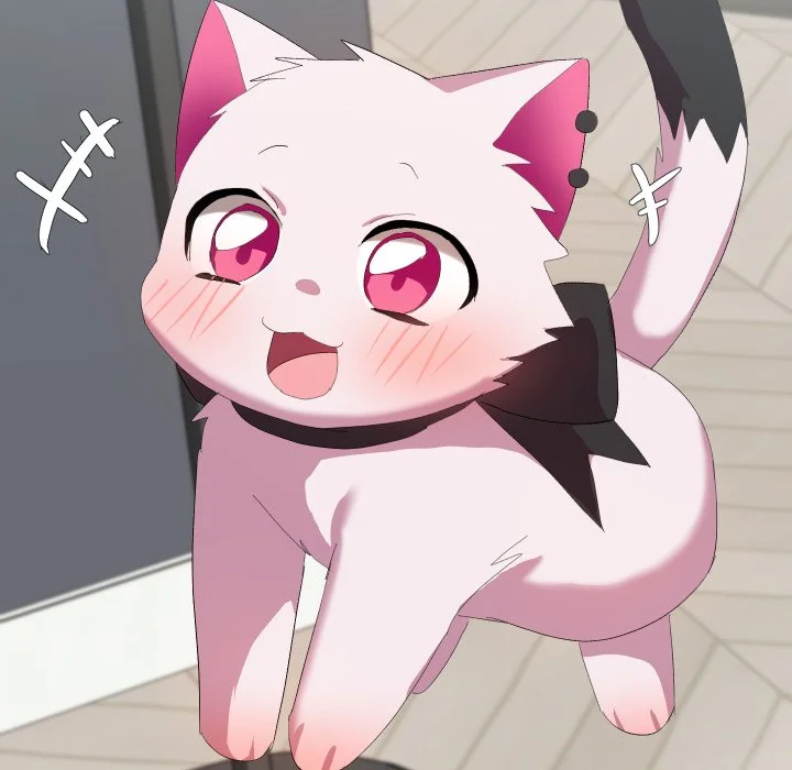 魔法少女退役后