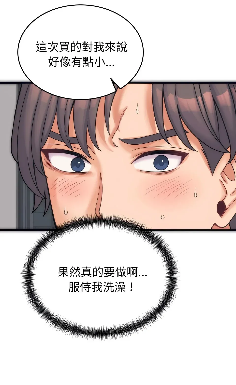 少爷的替身（无码版）