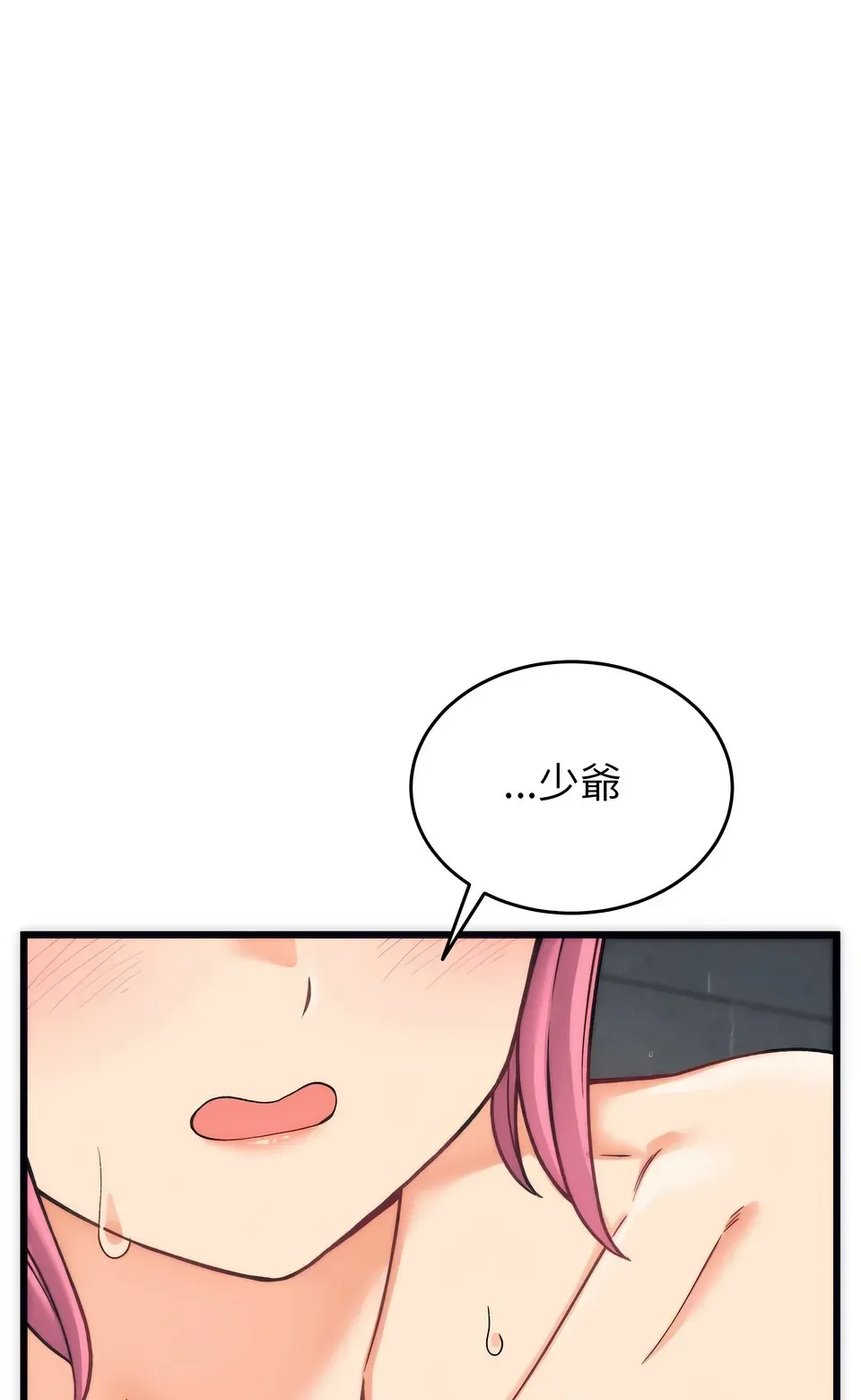 少爷的替身（无码版）