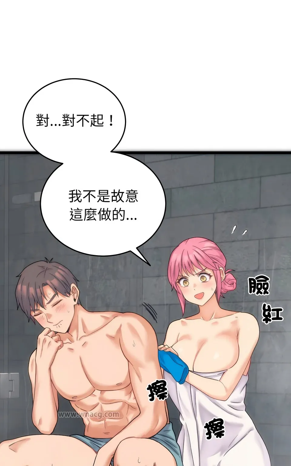 少爷的替身（无码版）