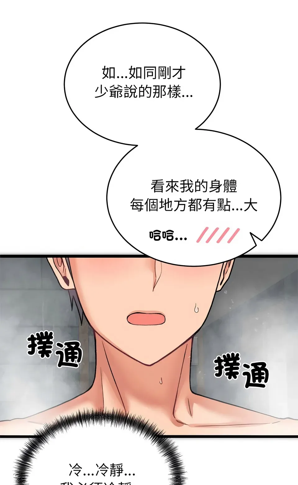 少爷的替身（无码版）