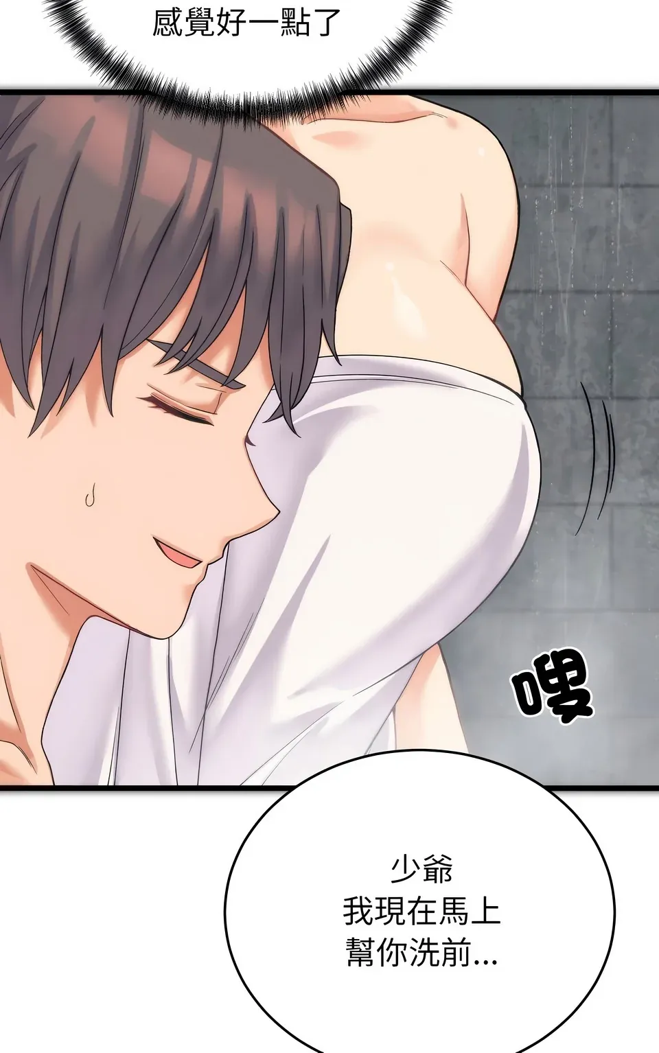 少爷的替身（无码版）