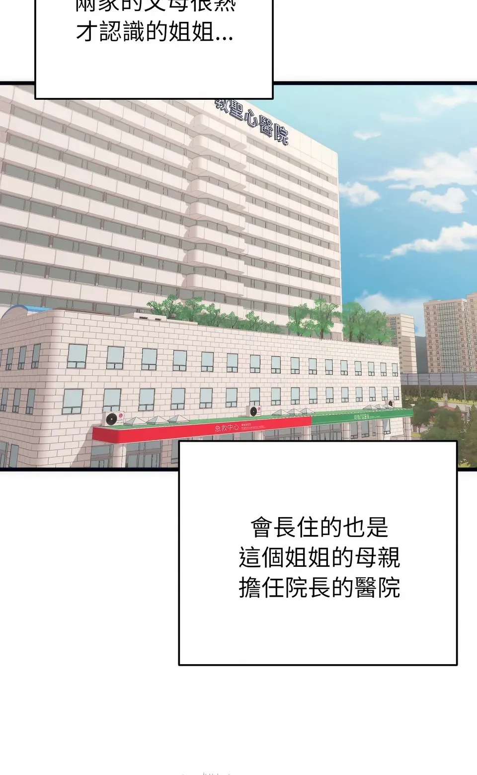 少爷的替身（无码版）