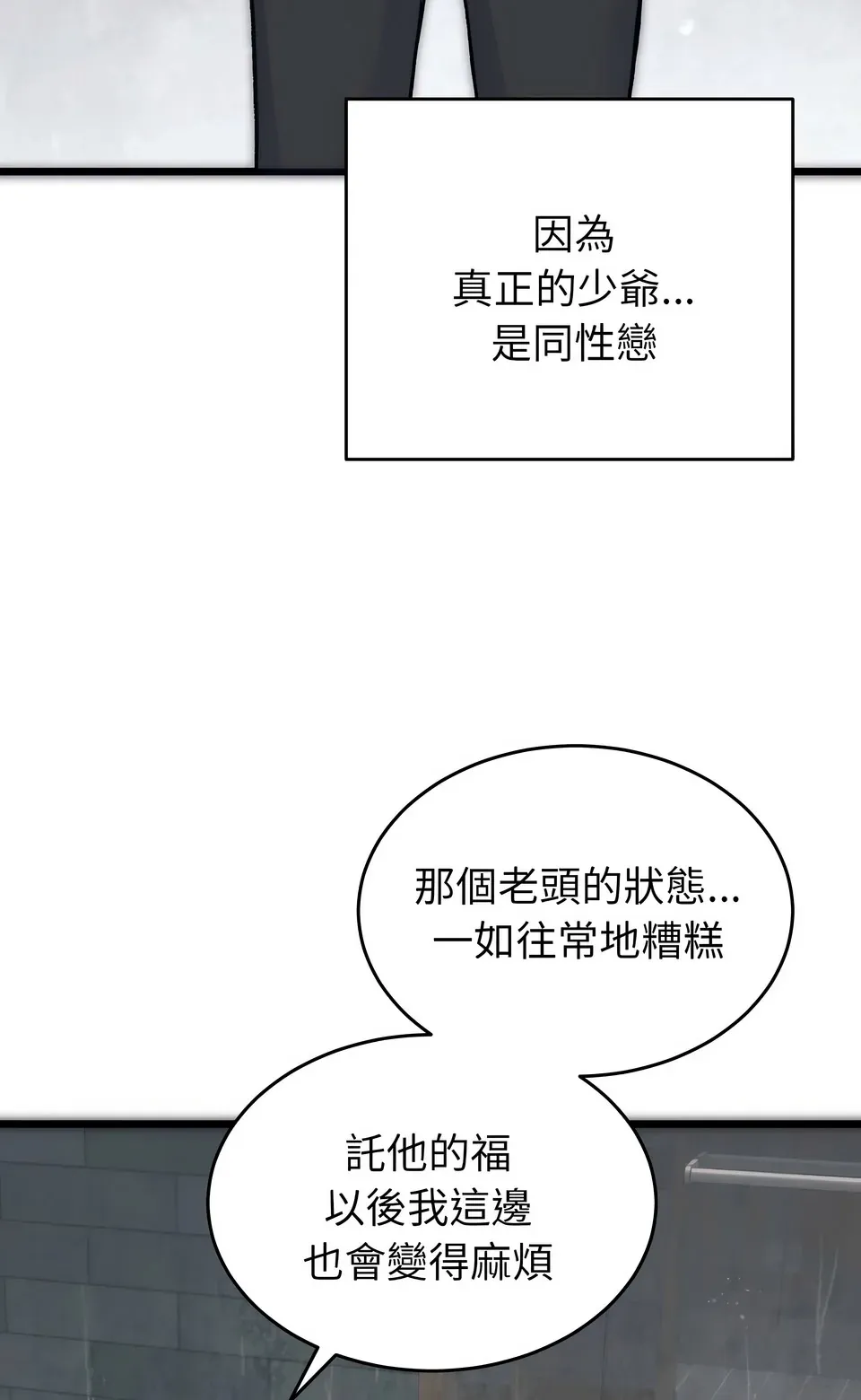 少爷的替身（无码版）