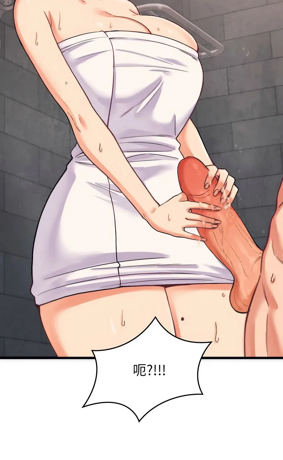 少爷的替身（无码版）