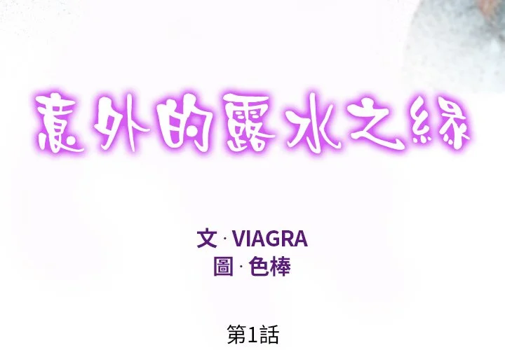 意外的露水之缘（无码版）