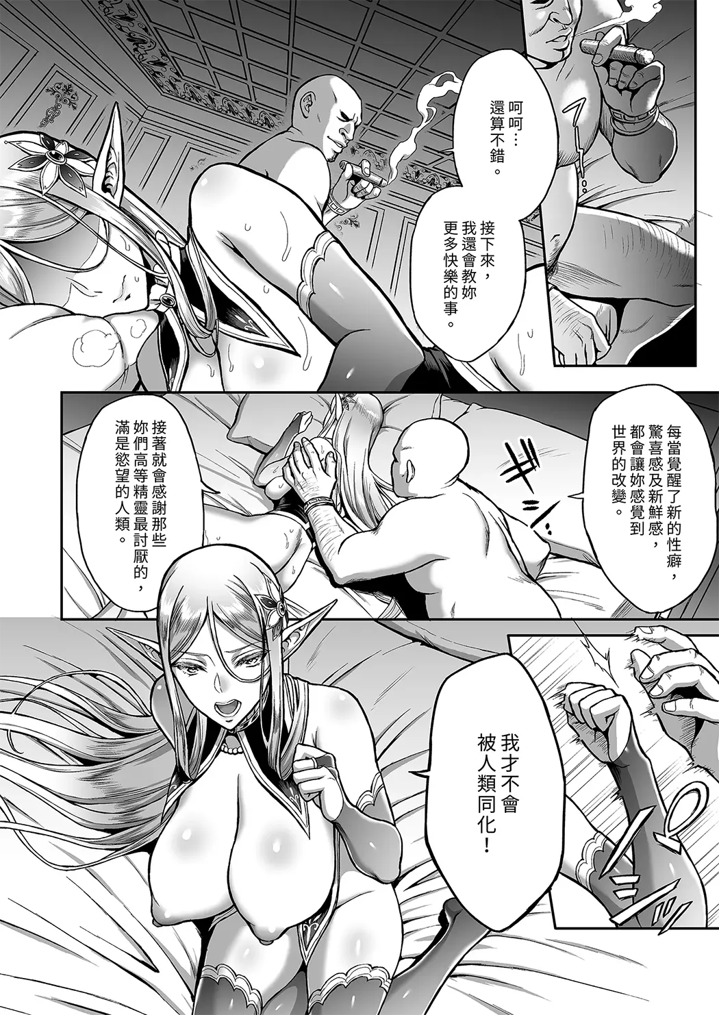 黄昏的娼女精灵总集篇～伊瑞妮前篇