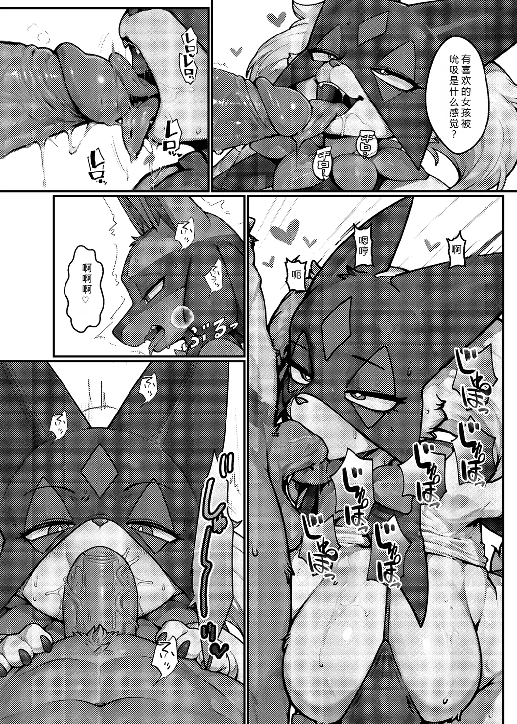 随乐拍联盟