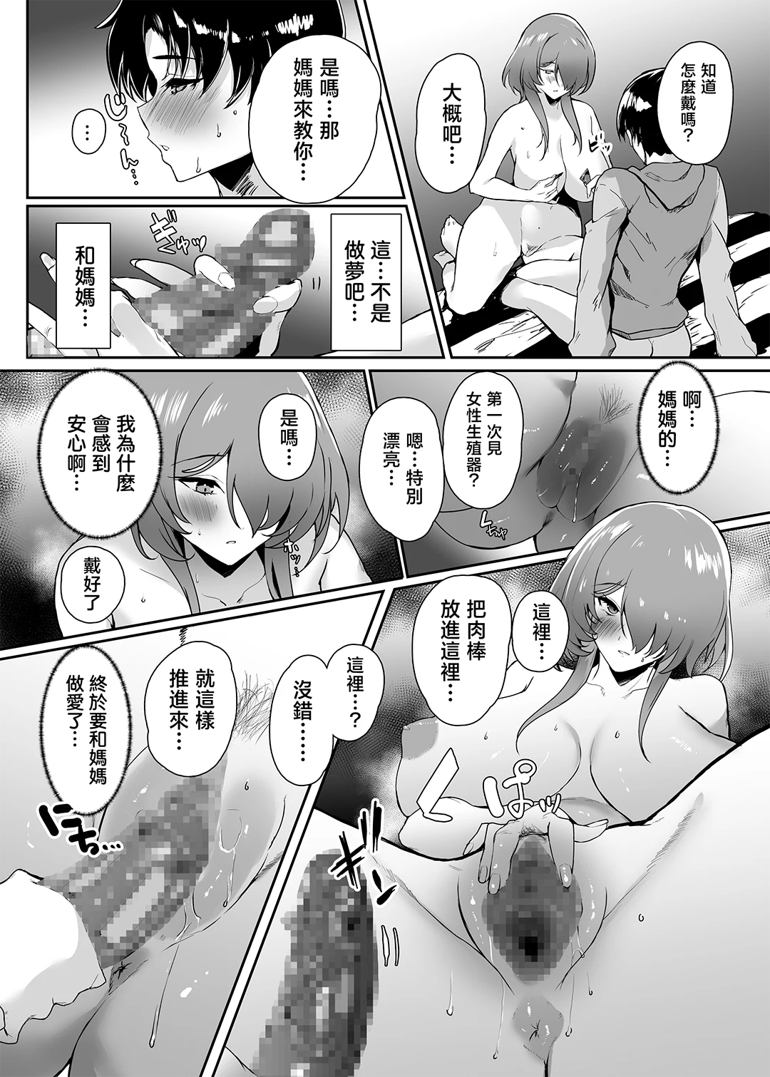 初恋の母さんにデカチン童貞を捧げて僕の赤ちゃんを孕んでもらうまでの話