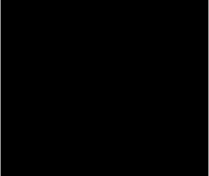 韶恩