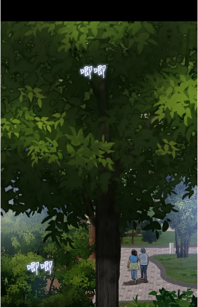 韶恩
