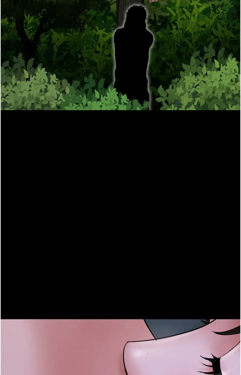 韶恩