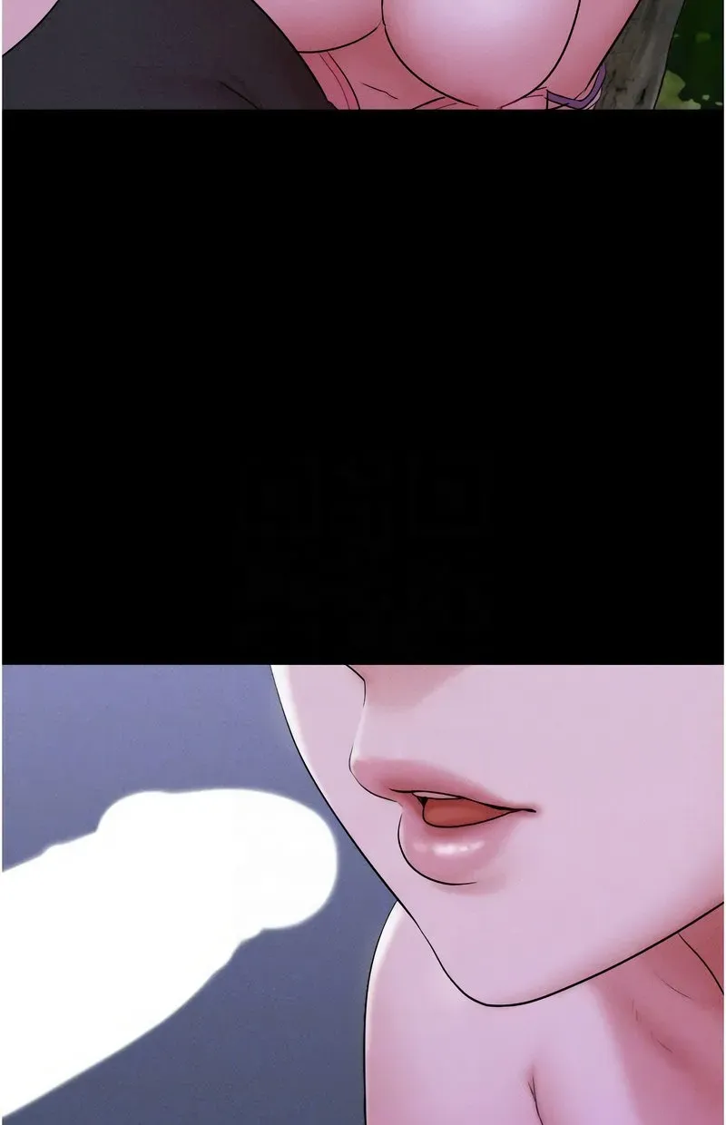 韶恩