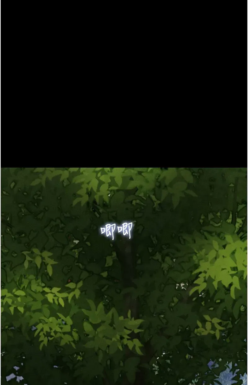 韶恩