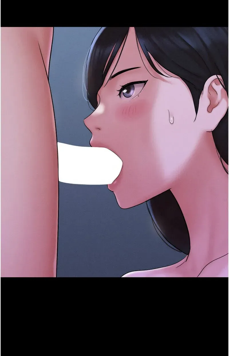 韶恩